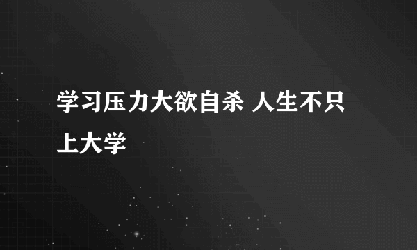 学习压力大欲自杀 人生不只上大学