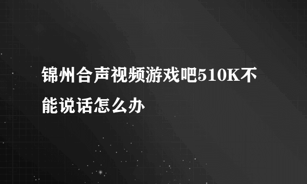 锦州合声视频游戏吧510K不能说话怎么办