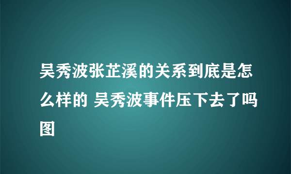 吴秀波张芷溪的关系到底是怎么样的 吴秀波事件压下去了吗图