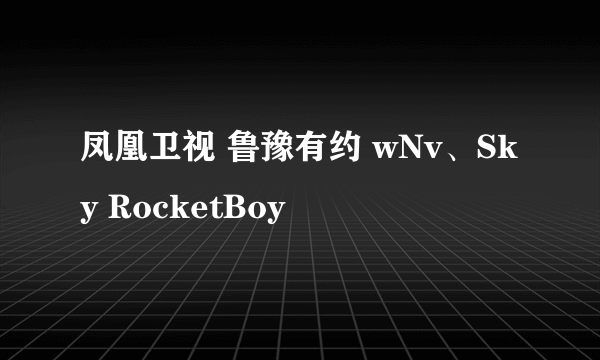 凤凰卫视 鲁豫有约 wNv、Sky RocketBoy