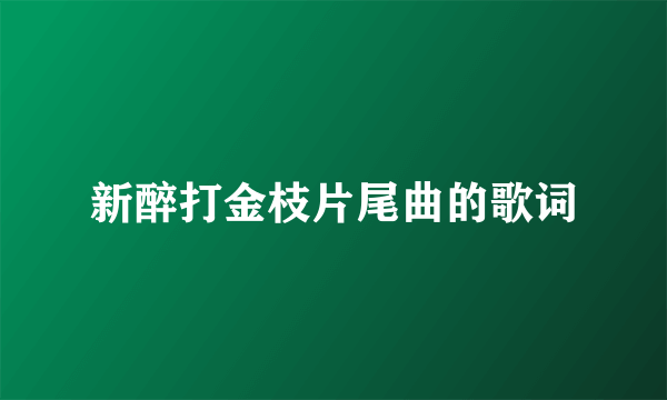 新醉打金枝片尾曲的歌词