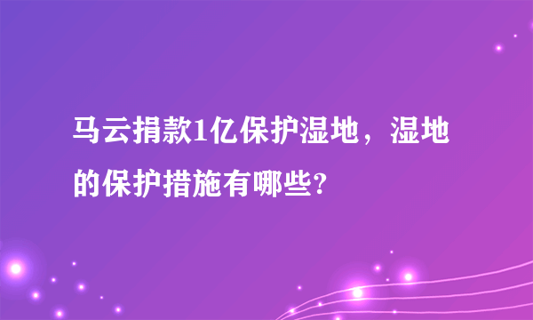 马云捐款1亿保护湿地，湿地的保护措施有哪些?