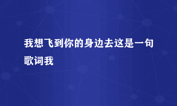 我想飞到你的身边去这是一句歌词我