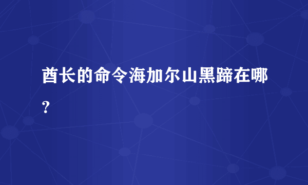 酋长的命令海加尔山黑蹄在哪？