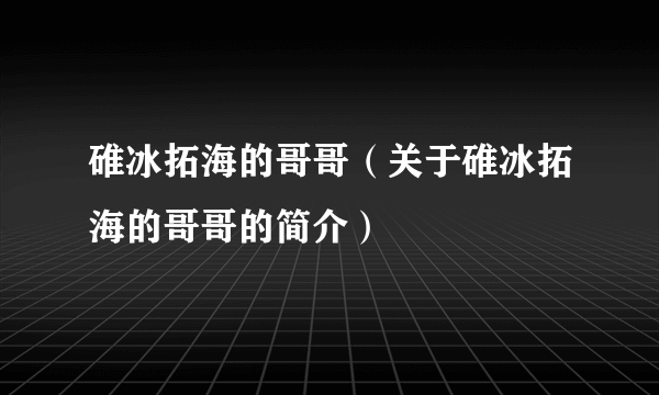 碓冰拓海的哥哥（关于碓冰拓海的哥哥的简介）