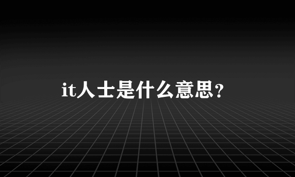 it人士是什么意思？