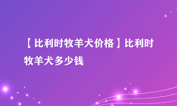 【比利时牧羊犬价格】比利时牧羊犬多少钱