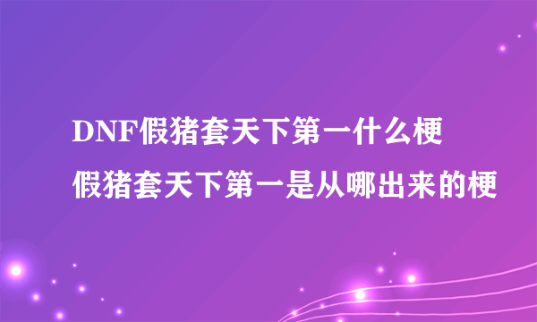 DNF假猪套天下第一什么梗 假猪套天下第一是从哪出来的梗