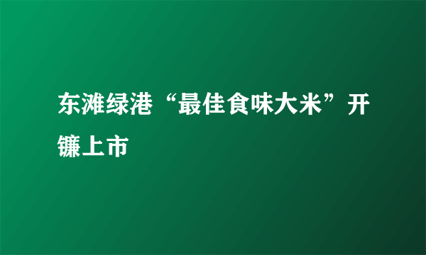 东滩绿港“最佳食味大米”开镰上市