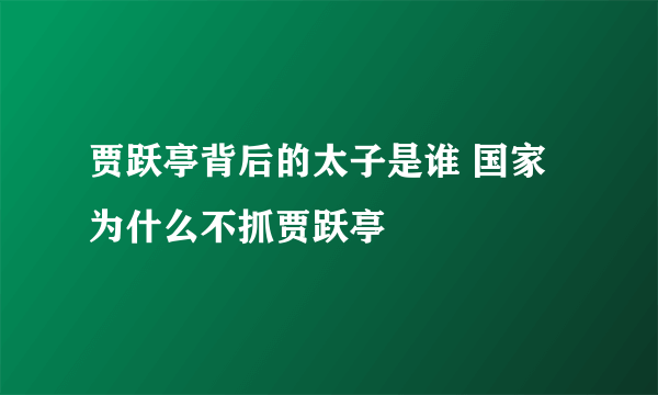 贾跃亭背后的太子是谁 国家为什么不抓贾跃亭