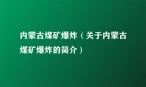 内蒙古煤矿爆炸（关于内蒙古煤矿爆炸的简介）