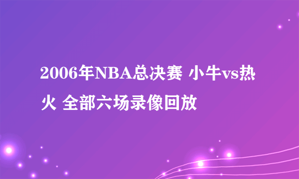 2006年NBA总决赛 小牛vs热火 全部六场录像回放