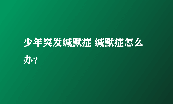 少年突发缄默症 缄默症怎么办？