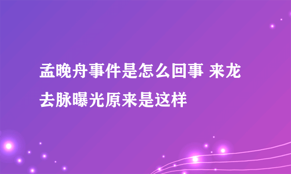 孟晚舟事件是怎么回事 来龙去脉曝光原来是这样