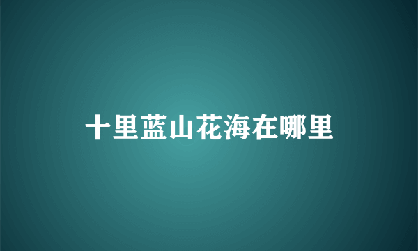 十里蓝山花海在哪里