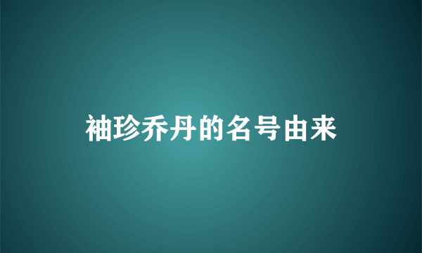 袖珍乔丹的名号由来