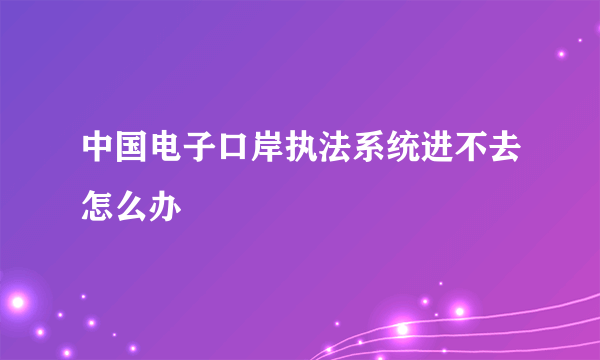 中国电子口岸执法系统进不去怎么办