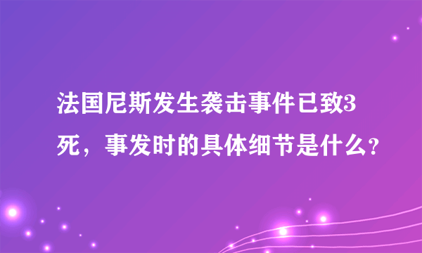 法国尼斯发生袭击事件已致3死，事发时的具体细节是什么？