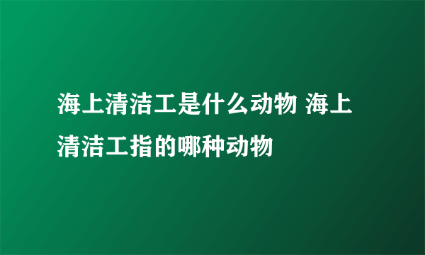 海上清洁工是什么动物 海上清洁工指的哪种动物