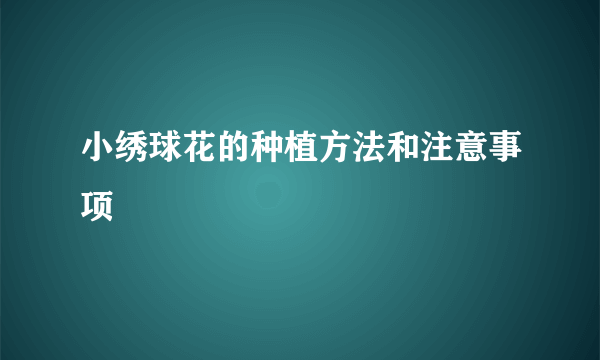 小绣球花的种植方法和注意事项