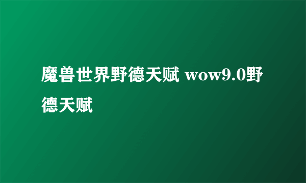 魔兽世界野德天赋 wow9.0野德天赋