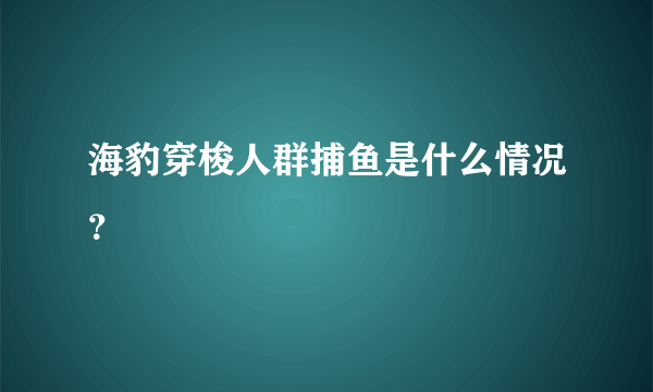 海豹穿梭人群捕鱼是什么情况？