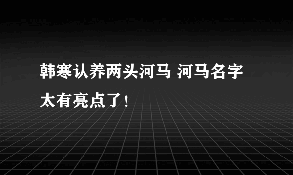 韩寒认养两头河马 河马名字太有亮点了！