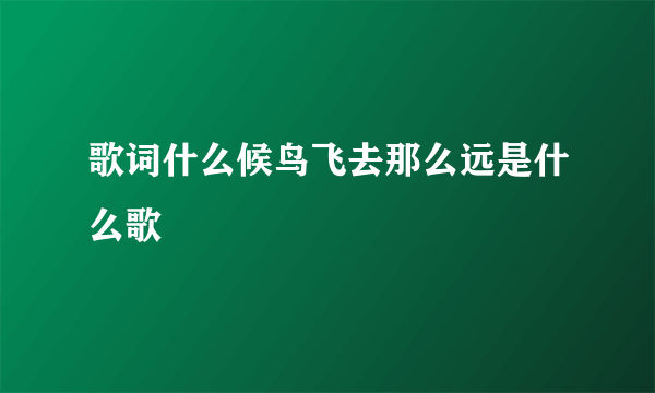 歌词什么候鸟飞去那么远是什么歌