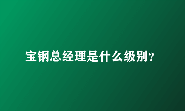 宝钢总经理是什么级别？