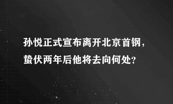 孙悦正式宣布离开北京首钢，蛰伏两年后他将去向何处？