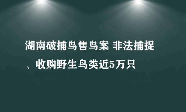 湖南破捕鸟售鸟案 非法捕捉、收购野生鸟类近5万只