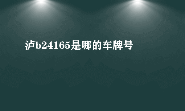 泸b24165是哪的车牌号