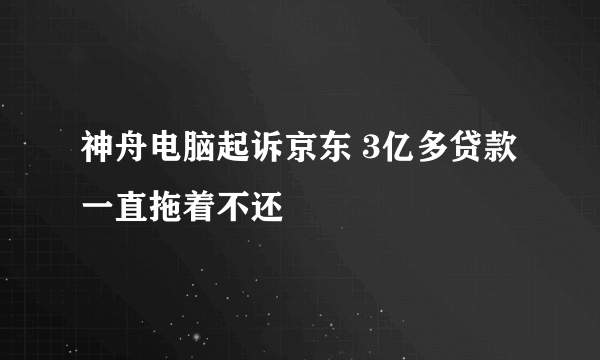 神舟电脑起诉京东 3亿多贷款一直拖着不还