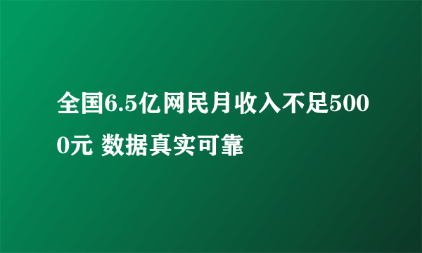 全国6.5亿网民月收入不足5000元 数据真实可靠