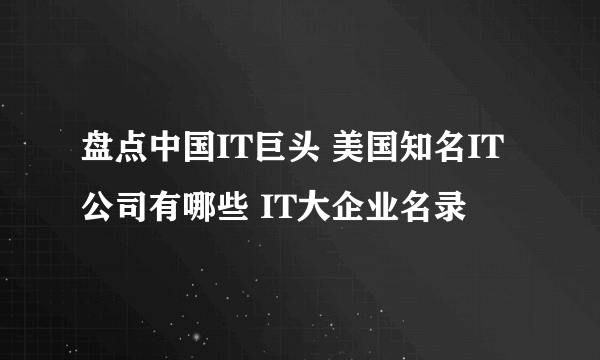 盘点中国IT巨头 美国知名IT公司有哪些 IT大企业名录