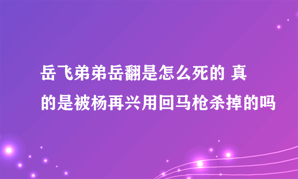 岳飞弟弟岳翻是怎么死的 真的是被杨再兴用回马枪杀掉的吗