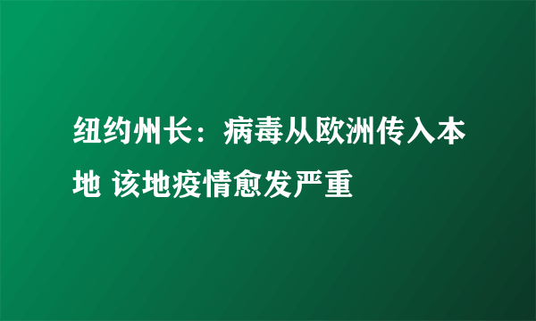 纽约州长：病毒从欧洲传入本地 该地疫情愈发严重