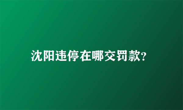 沈阳违停在哪交罚款？