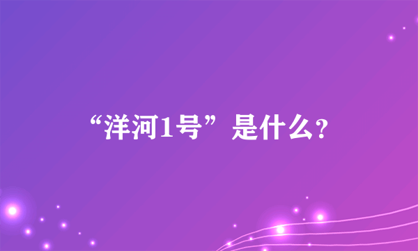 “洋河1号”是什么？