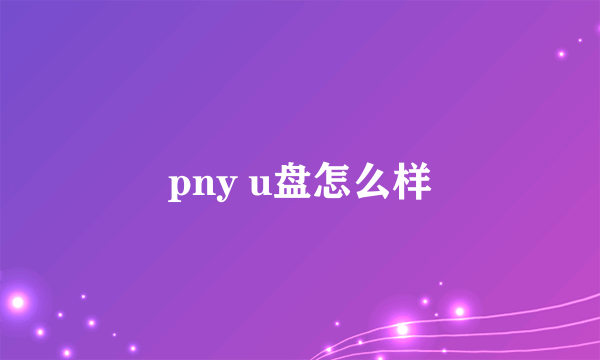 pny u盘怎么样