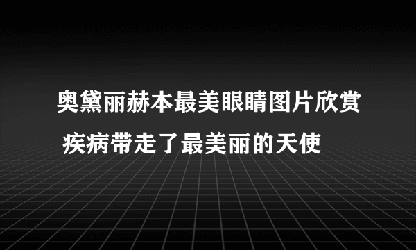 奥黛丽赫本最美眼睛图片欣赏 疾病带走了最美丽的天使