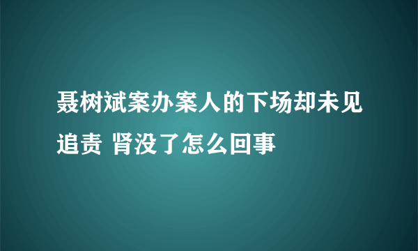 聂树斌案办案人的下场却未见追责 肾没了怎么回事