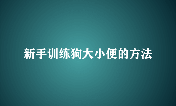 新手训练狗大小便的方法