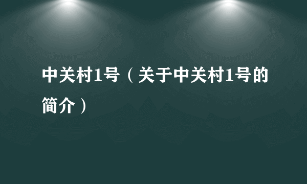 中关村1号（关于中关村1号的简介）