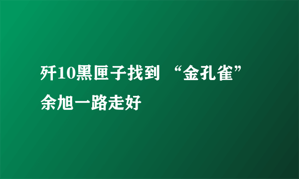 歼10黑匣子找到 “金孔雀”余旭一路走好