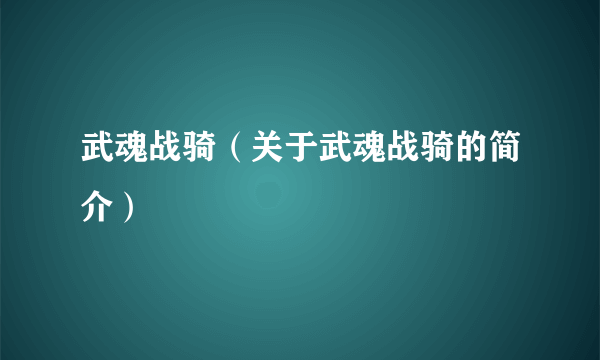 武魂战骑（关于武魂战骑的简介）