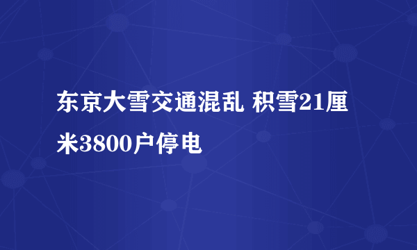 东京大雪交通混乱 积雪21厘米3800户停电