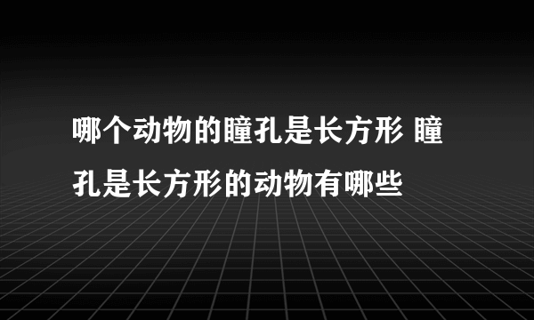 哪个动物的瞳孔是长方形 瞳孔是长方形的动物有哪些