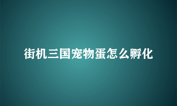 街机三国宠物蛋怎么孵化