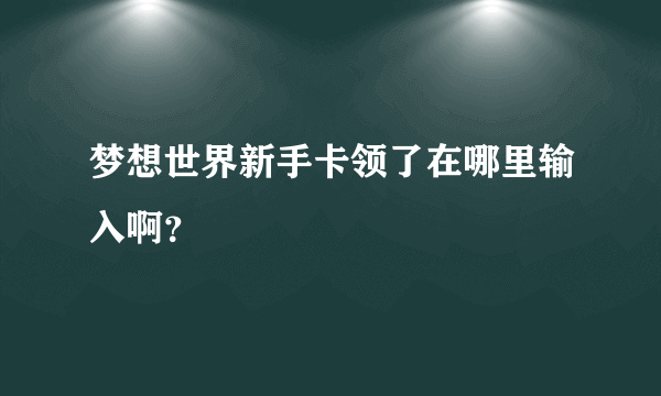 梦想世界新手卡领了在哪里输入啊？